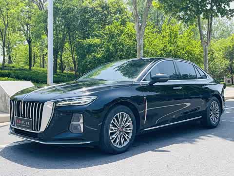 Hongqi H5 2024 1.5 T DCT — фото 32