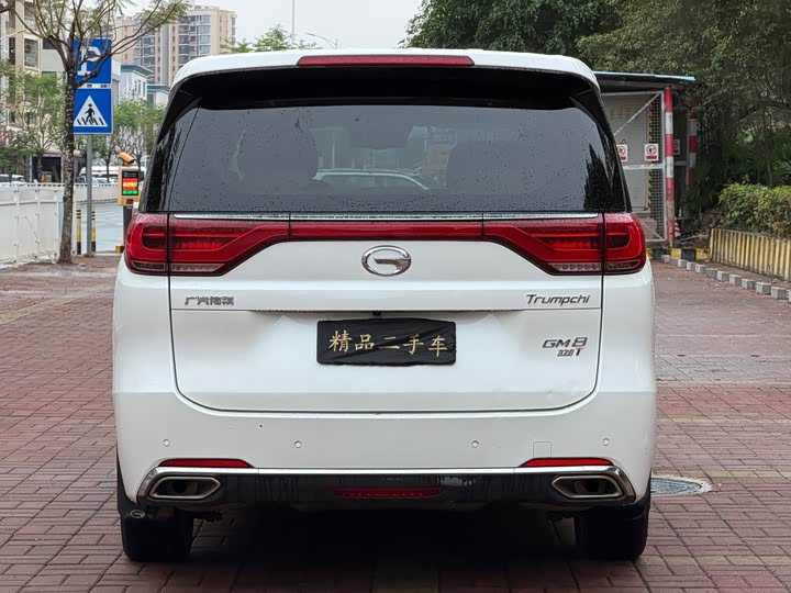 Trumpchi M8 2018 320 T — фото 7