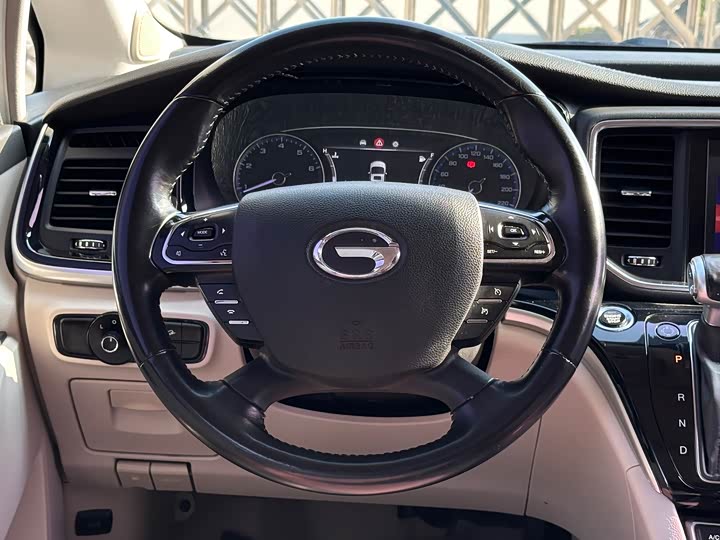 Trumpchi M8 2018 320 T — фото 13
