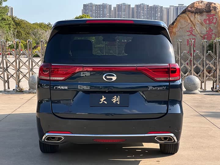 Trumpchi M8 2018 320 T — фото 25