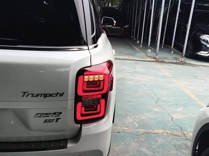 Trumpchi GS8 2017 320 T 2 WD ( ) — фото 8