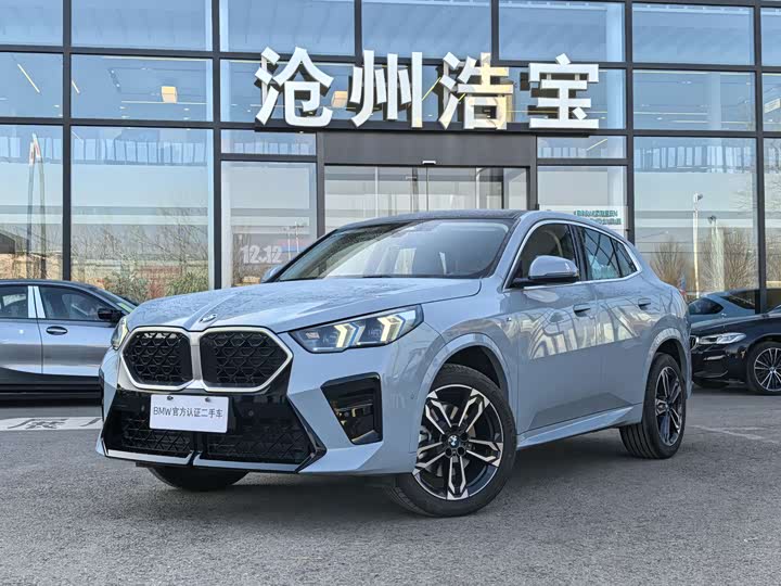 BMW X2 2024 s Drive 25i M — фото 1