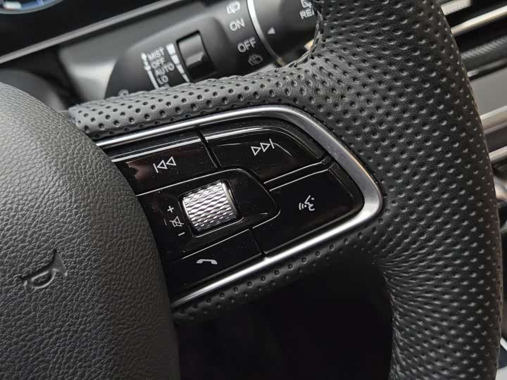 Hongqi HS5 2023 2.0 T 4 WD Pro — фото 27