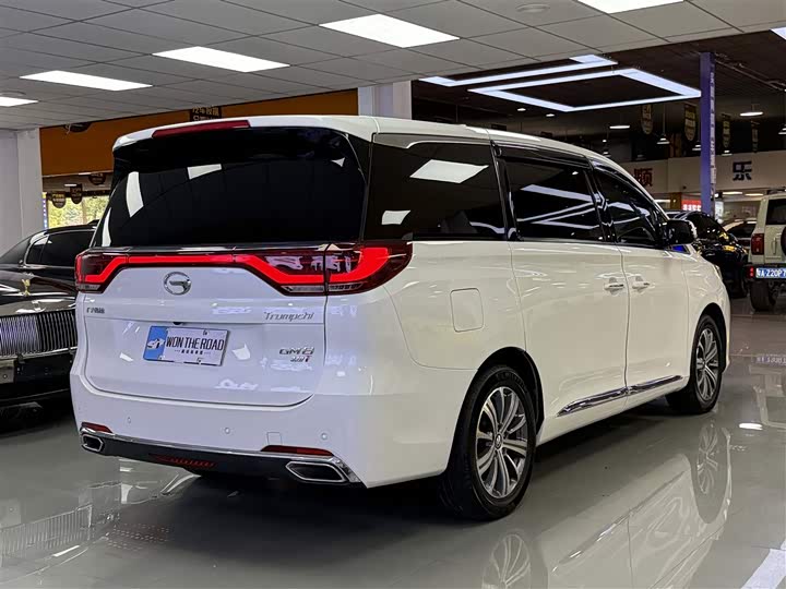 Trumpchi M8 2018 320 T — фото 7