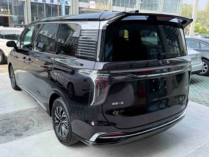 Hongqi HQ9 PHEV 2024 2.0 T 4 WD — фото 6
