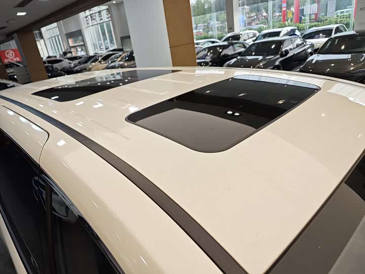 Trumpchi M8 2018 320 T — фото 37