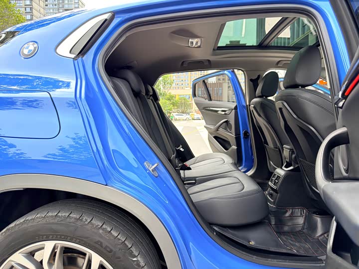 BMW X2 2019 s Drive 25i Luxury M VI — фото 8