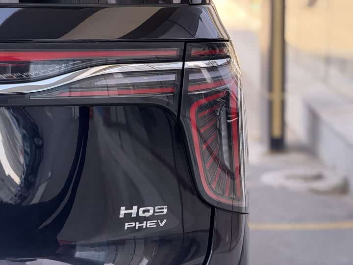 Hongqi HQ9 PHEV 2024 2.0 T 4 WD — фото 13