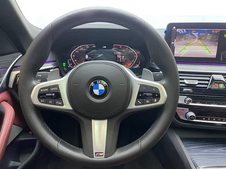 BMW 5-Series 2021 530 Li Leading M — фото 14
