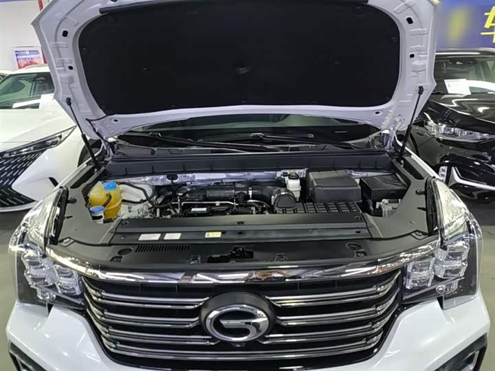 Trumpchi GS8 2020 390 T 2 WD ( ) — фото 20