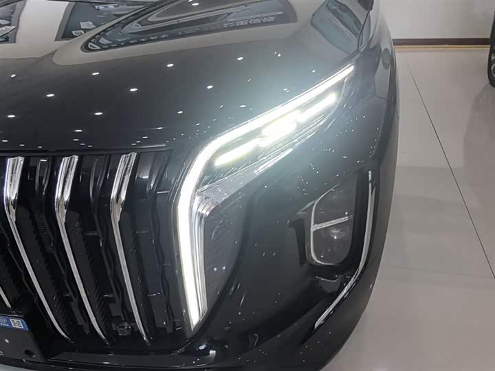 Hongqi HS7 PHEV 2024 2.0 T PHEV 4 WD 6 — фото 24