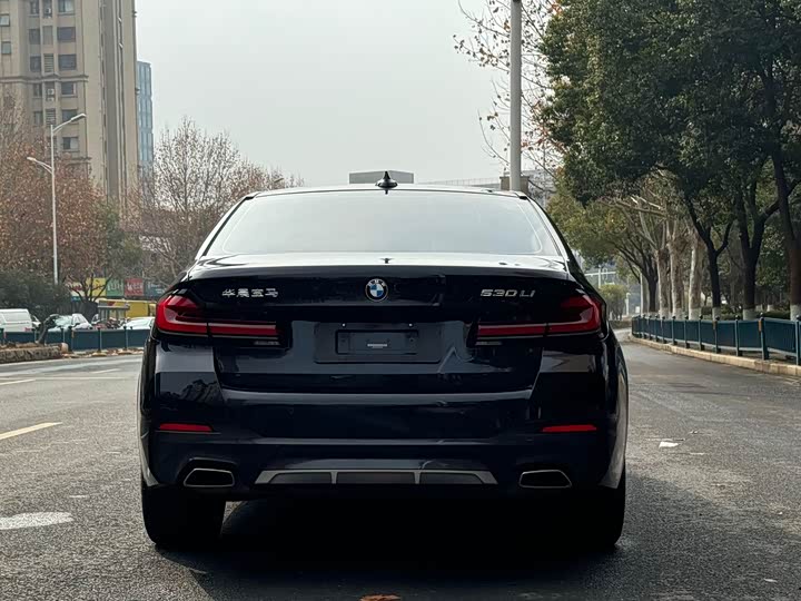 BMW 5-Series 2023 530 Li Leading M — фото 5