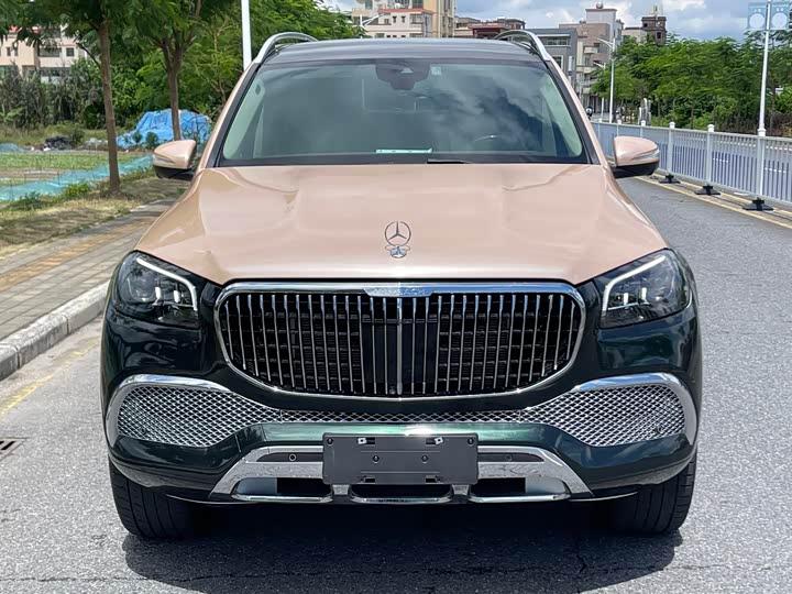 Maybach GLS 2022 GLS 480 4 MATIC — фото 2