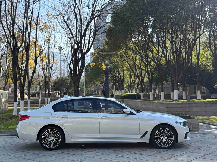 BMW 5-Series 2019 530 Li Leading M — фото 12
