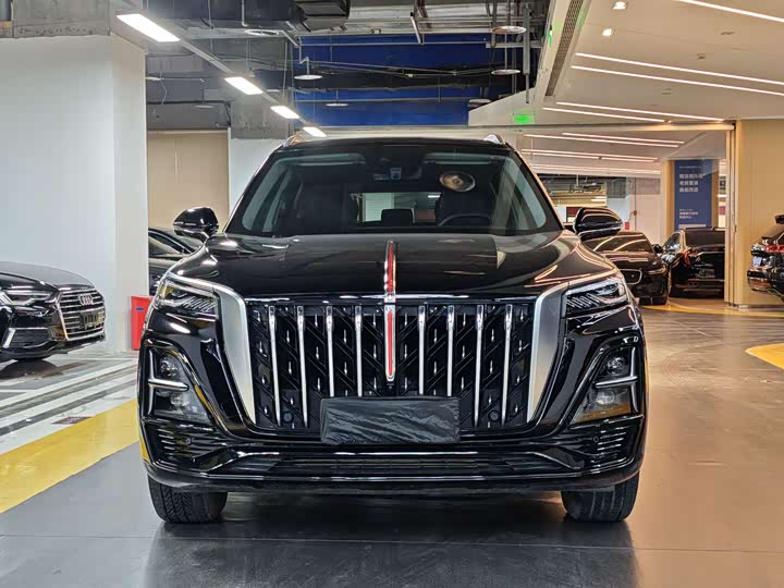 Hongqi HS5 2023 2.0 T Pro — фото 2