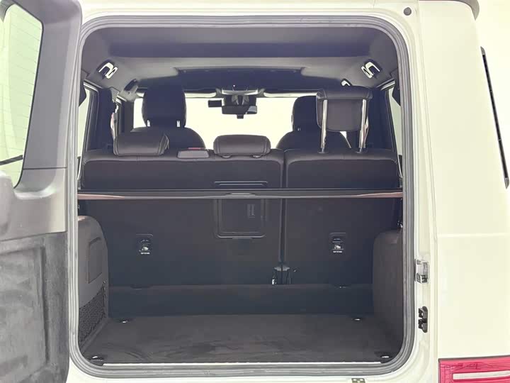 Mercedes-Benz G-Class 2020 G 500 — фото 11