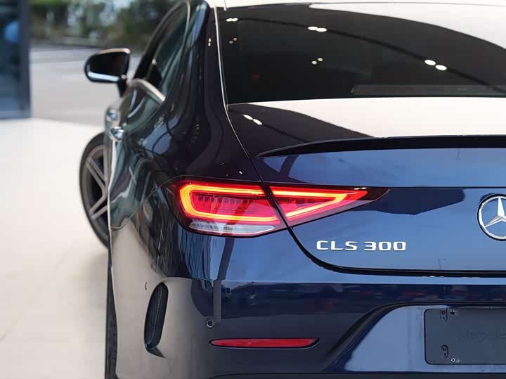 Mercedes-Benz CLS 2021 CLS 300 Luxury — фото 15