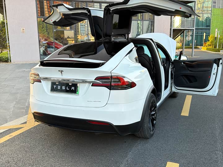 Tesla Model X 2019 — фото 17