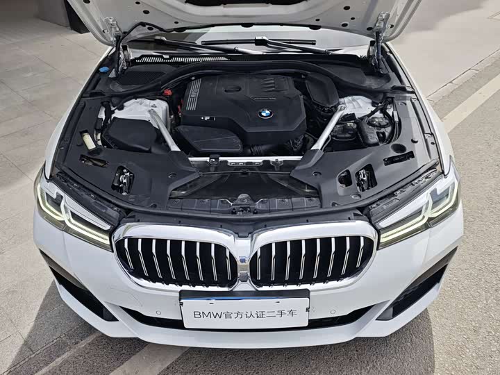 BMW 5-Series 2022 530 Li Leading M — фото 12