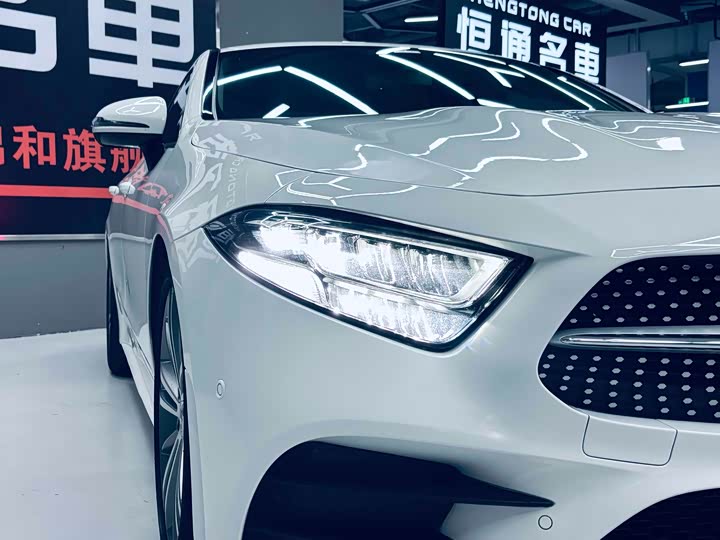Mercedes-Benz CLS 2020 CLS 300 — фото 6