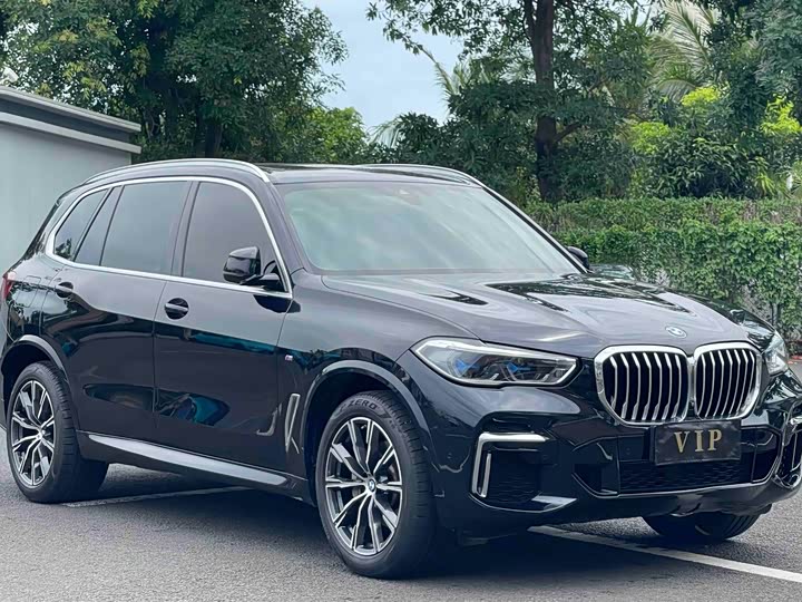 BMW X5 2022 x Drive 30 Li M — фото 4