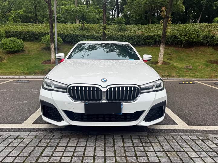 BMW 5-Series 2023 530 Li Leading M — фото 1