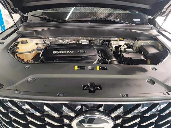 Trumpchi GS8 2022 2.0 TGDI 2 WD ( ) — фото 10