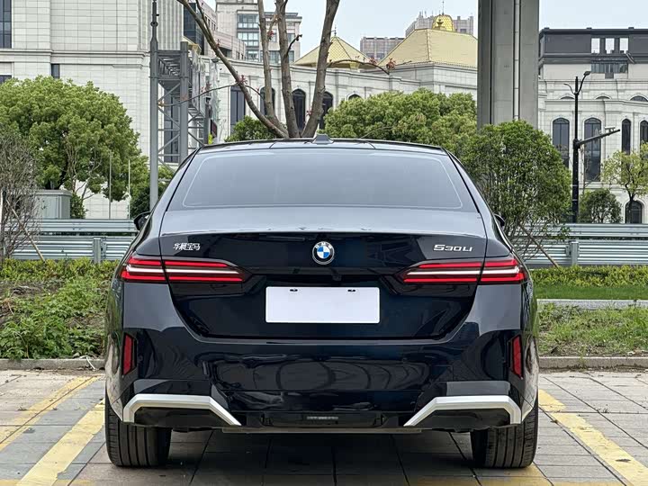 BMW 5-Series 2024 530 Li Leading M — фото 7