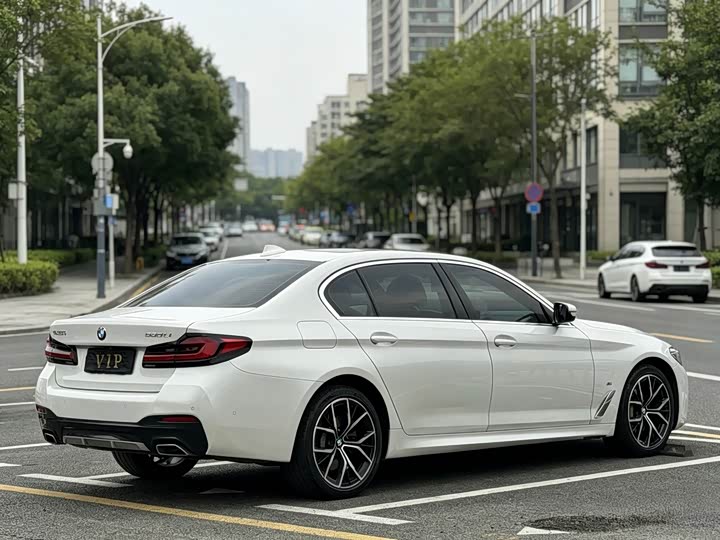 BMW 5-Series 2022 530 Li M — фото 9