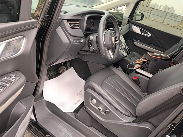 Hongqi HQ9 PHEV 2024 2.0 T 4 WD — фото 16