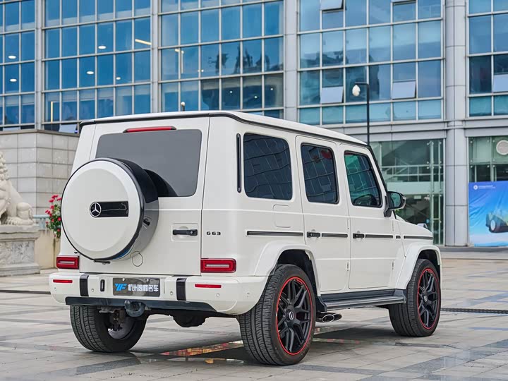 Mercedes-Benz G-Class 2019 G 500 — фото 9