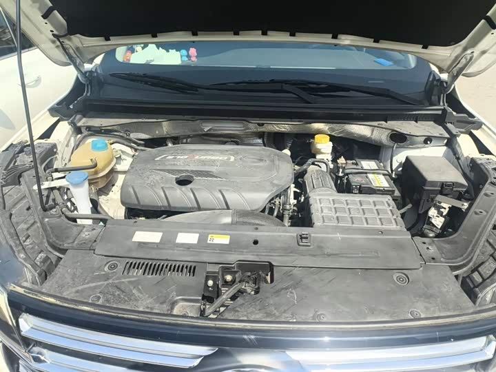 Trumpchi GS4 2020 270 T AT — фото 11