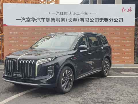Hongqi HS7 PHEV 2024 2.0 T PHEV 4 WD 6 — фото 12