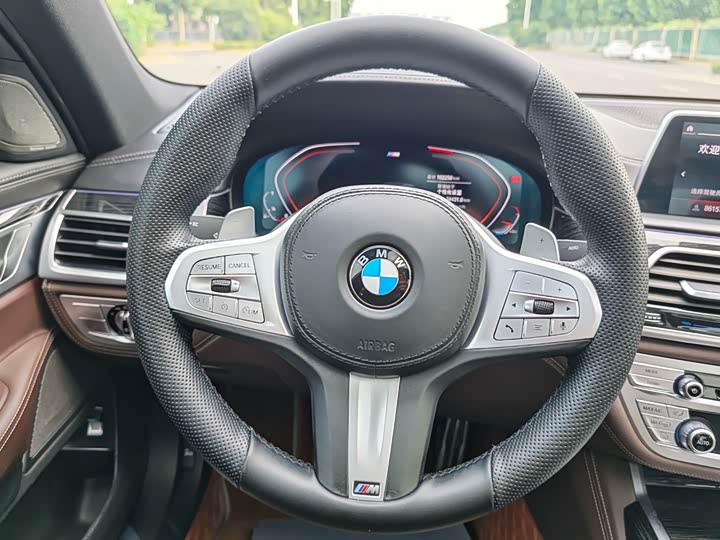 BMW 7 Series 730Li M спортпакет — фото 16