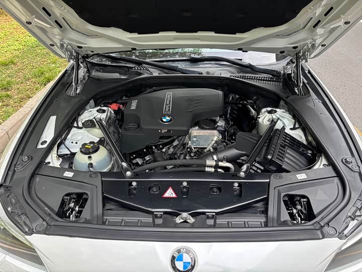 BMW 5-Series 2017 525 Li Leading — фото 16