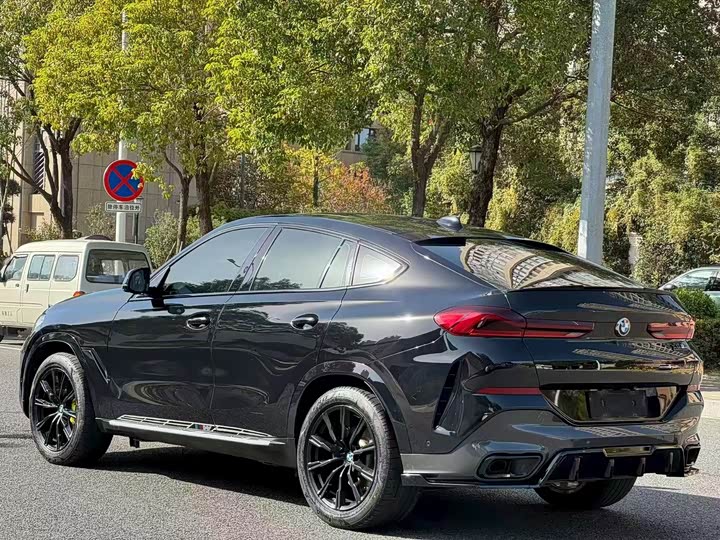 BMW X6 2020 x Drive 40i M — фото 6