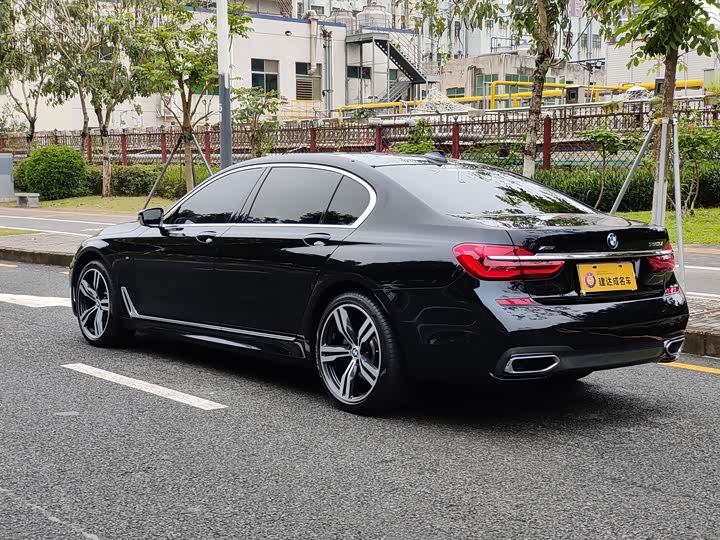 BMW 7-Series 2018 750 Li x Drive M — фото 6