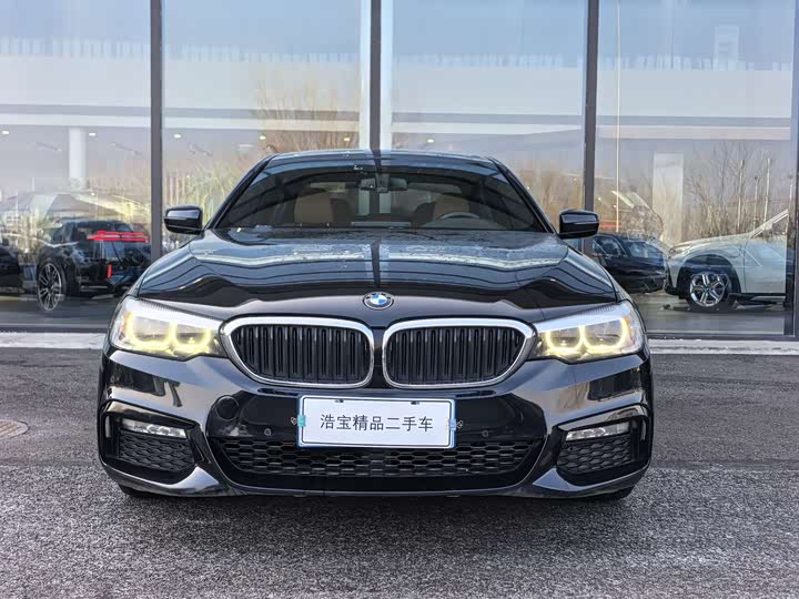 BMW 5-Series 2018 530 Li Leading M — фото 2