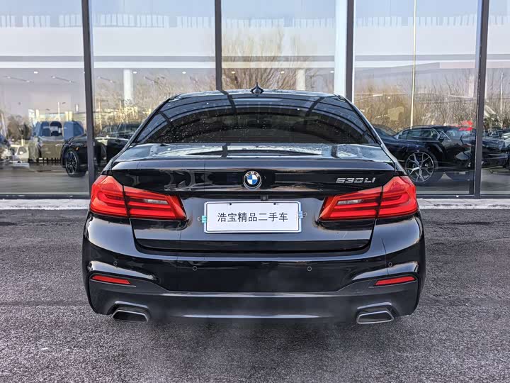 BMW 5-Series 2018 530 Li Leading M — фото 6