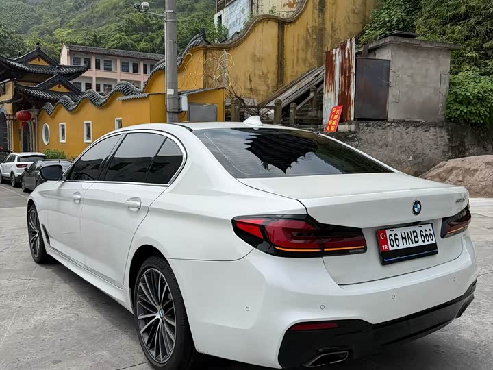BMW 5-Series 2020 530 Li Leading M — фото 8