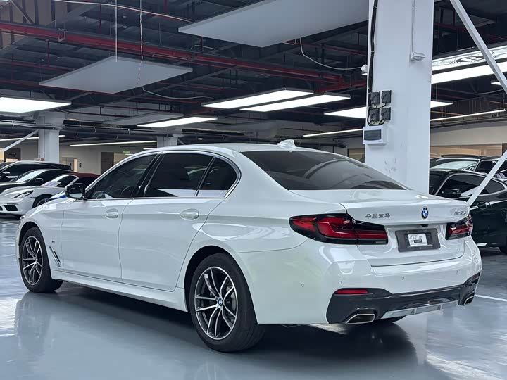 BMW 5 Series 525Li M спортпакет — фото 20