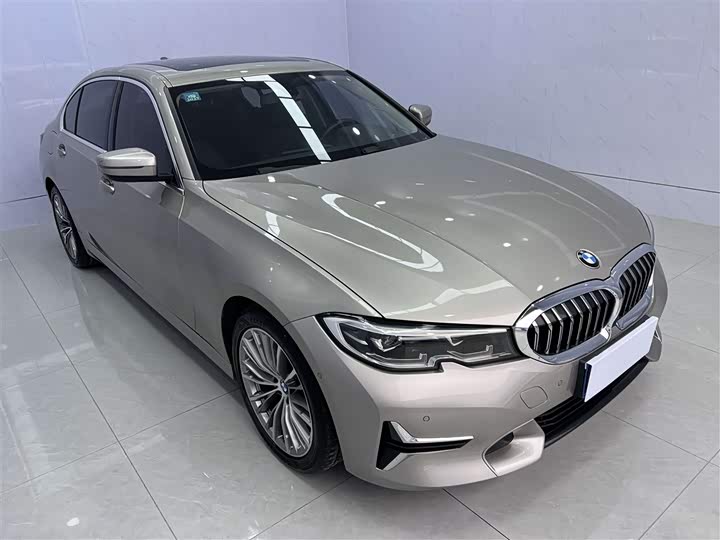 BMW 3-Series 2020 325 Li — фото 6