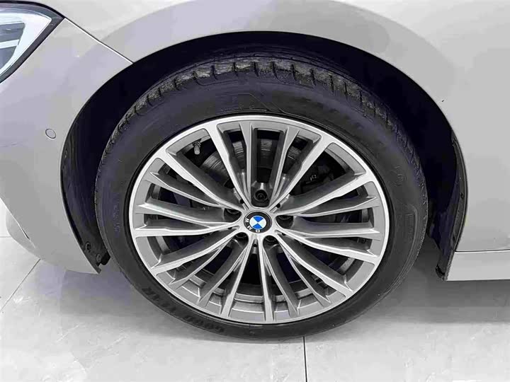 BMW 3-Series 2020 325 Li — фото 16