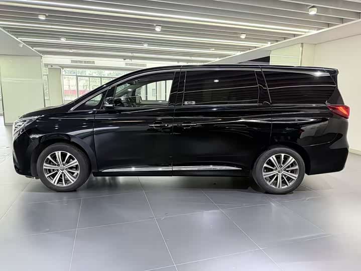Trumpchi M8 2018 320 T — фото 7