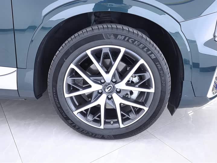 Trumpchi GS8 2022 2.0 TM 2 WD ( ) — фото 6