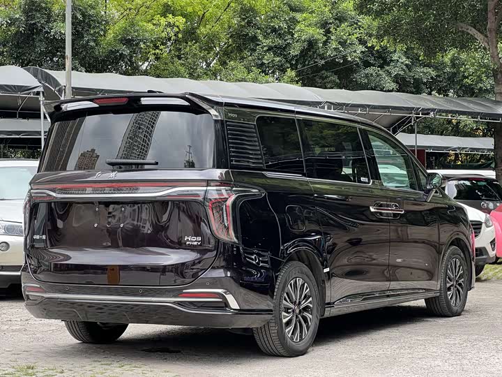 Hongqi HQ9 PHEV 2024 2.0 T 4 WD — фото 3