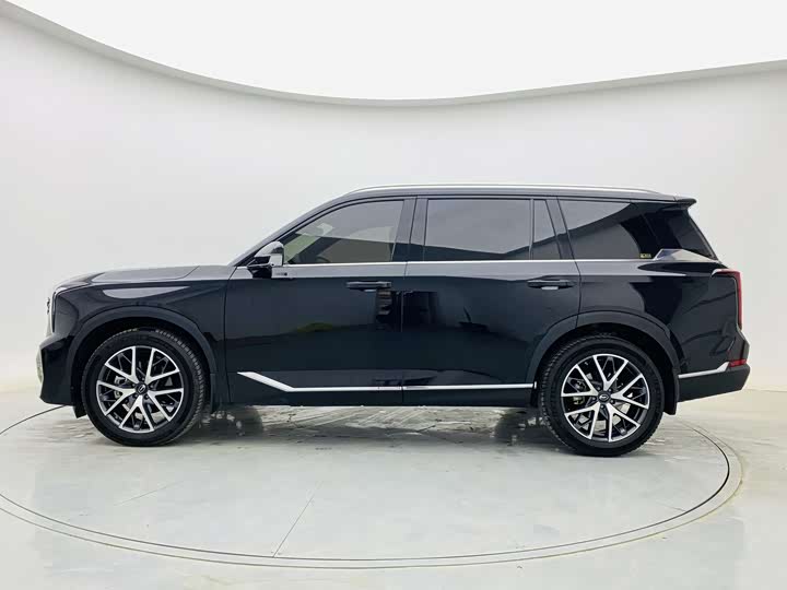 Trumpchi GS8 2024 2.0 TGDI 2 WD 7 — фото 5