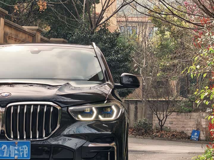 BMW X5 2022 x Drive 30 Li M — фото 14