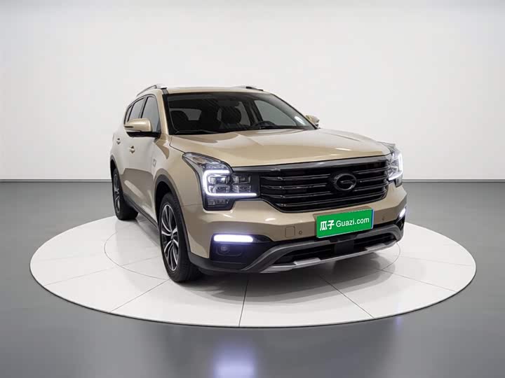 Trumpchi GS8 2017 320 T 2 WD ( ) — фото 4