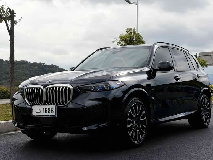 BMW X5 xDrive 30Li M спортпакет — фото 3
